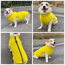 Load image into Gallery viewer, Dog Winter Vest with Cotton Lining