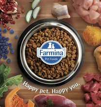 Load image into Gallery viewer, Farmina N&D Pumpkin – Adult Mini Boar and Apple 2.5KG