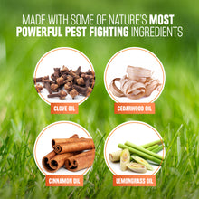 Load image into Gallery viewer, TROPICLEAN FLEA & TICK DOG & BEDDING SPRAY