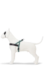 Load image into Gallery viewer, MORSO LABYRINTH  HARNESS MINI -XL