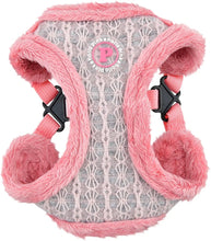 Load image into Gallery viewer, PInkaholic Margeaux HARNESS with matching lead (Copy)