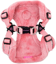 Load image into Gallery viewer, PInkaholic Margeaux HARNESS with matching lead (Copy)