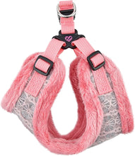 Load image into Gallery viewer, PInkaholic Margeaux HARNESS with matching lead (Copy)