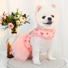 Load image into Gallery viewer, SALE PINKAHOLIC Lovey harness D with matching lead