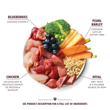 Load image into Gallery viewer, Lily’s Kitchen Chicken Casserole (150g)