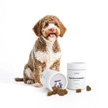 Load image into Gallery viewer, Tipaw Digestive Probiotics