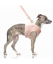 Load image into Gallery viewer, Milk and Pepper Pink Fuji Harness