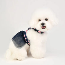 Load image into Gallery viewer, SALE PINKAHOLIC Loveday Flirt harness D with matching lead