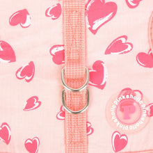 Load image into Gallery viewer, SALE PINKAHOLIC Lovey harness D with matching lead
