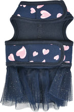 Load image into Gallery viewer, SALE PINKAHOLIC Loveday Flirt harness D with matching lead