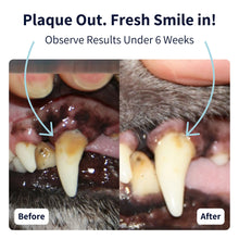 Load image into Gallery viewer, Tipaw Dental Care Powder
