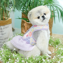 Load image into Gallery viewer, SALE PINKAHOLIC EVANTHE harness D