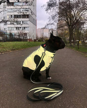 Load image into Gallery viewer, WAUDOG REFLECTIVE DOG JACKET