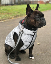 Load image into Gallery viewer, WAUDOG REFLECTIVE DOG JACKET