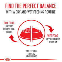 Load image into Gallery viewer, ROYAL CANIN X-Small Adult Dry Dog Food 1.5KG