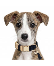 Load image into Gallery viewer, Milk and Pepper Selena Adjustable Collar