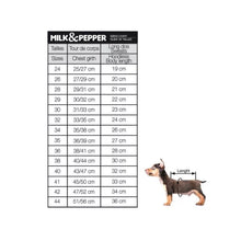 Load image into Gallery viewer, Milk and Pepper  Rookie Hoodie