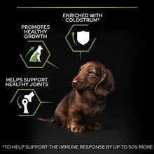 Load image into Gallery viewer, Purina Pro Plan Healthy Start Puppy Small/Mini Breed - Dry Food with Chicken
