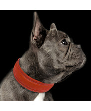 Load image into Gallery viewer, €5 SALE! MILK AND PEPPER Trocadero Collar