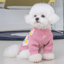 Load image into Gallery viewer, PUPPIA SHERIDAN WINTER SWEATSHIRT