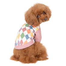 Load image into Gallery viewer, PUPPIA SHERIDAN WINTER SWEATSHIRT