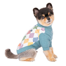 Load image into Gallery viewer, PUPPIA SHERIDAN WINTER SWEATSHIRT