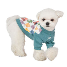 Load image into Gallery viewer, PUPPIA SHERIDAN WINTER SWEATSHIRT