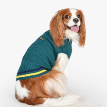 Load image into Gallery viewer, PUPPIA JOISE Mock Neck Knit Sweater