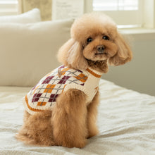 Load image into Gallery viewer, PUPPIA GIZMO  Mock Neck Knit Sweater
