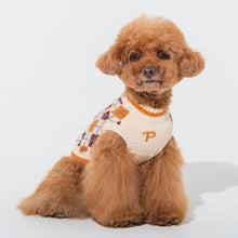 Load image into Gallery viewer, PUPPIA GIZMO  Mock Neck Knit Sweater