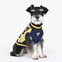 Load image into Gallery viewer, PUPPIA GIZMO  Mock Neck Knit Sweater