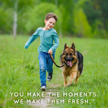 Load image into Gallery viewer, TROPICLEAN FLEA & TICK BITE RELIEF SPRAY FOR PETS