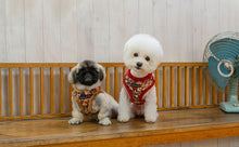 Load image into Gallery viewer, PUPPIA FLOWER PATTERN HARNESS and MATCHING LEAD