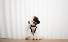 Load image into Gallery viewer, PINKAHHOLIC CHECKERED PATTERN HARNESS and Matching Lead