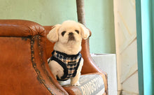 Load image into Gallery viewer, PUPPIA CHECKERED PATTERN HARNESS