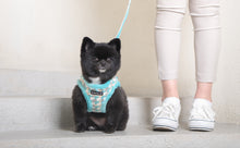 Load image into Gallery viewer, PUPPIA CHECKERED PATTERN HARNESS