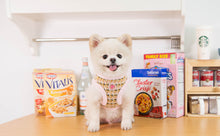 Load image into Gallery viewer, PINKAHHOLIC  CHECKERED PATTERN HARNESS and MATCHING LEAD