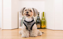 Load image into Gallery viewer, PUPPIA HOUNDSTOOTH PATTERN HARNESS and MATCHING LEAD