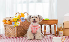 Load image into Gallery viewer, PINKAHOLIC HEART PATTERN HARNESS AND LEAD