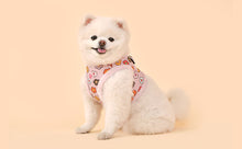 Load image into Gallery viewer, PINKAHOLIC SOFT FLOWERED HARNESS