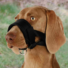 Load image into Gallery viewer, Trixie Muzzle Loop