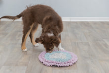 Load image into Gallery viewer, Trixie Junior Sniffing Carpet