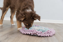 Load image into Gallery viewer, Trixie Junior Sniffing Carpet