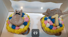 Load image into Gallery viewer, Wendy's Frosted Birthday Cupcakes for Cats