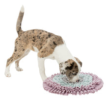 Load image into Gallery viewer, Trixie Junior Sniffing Carpet