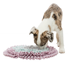 Load image into Gallery viewer, Trixie Junior Sniffing Carpet