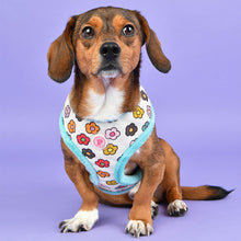 Load image into Gallery viewer, PINKAHOLIC SOFT FLOWERED HARNESS