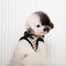 Load image into Gallery viewer, PINKAHHOLIC  CHECKERED PATTERN HARNESS and MATCHING LEAD