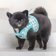 Load image into Gallery viewer, PUPPIA CHECKERED PATTERN HARNESS