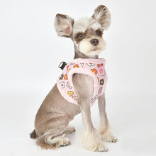 Load image into Gallery viewer, PINKAHOLIC SOFT FLOWERED HARNESS